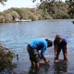Underwater collections